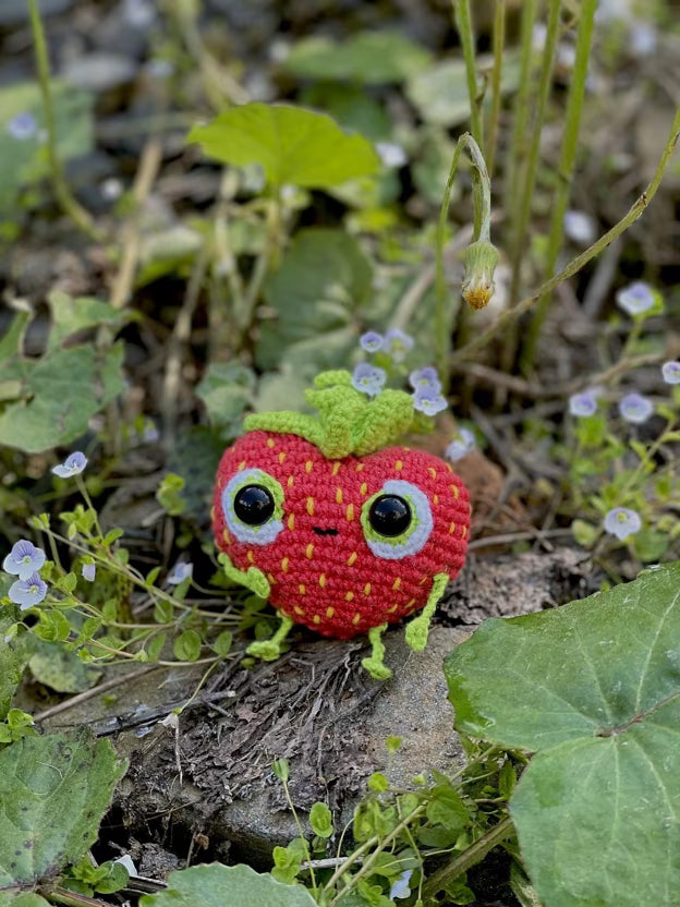 Barry the Strawberry Amigurumi Pattern