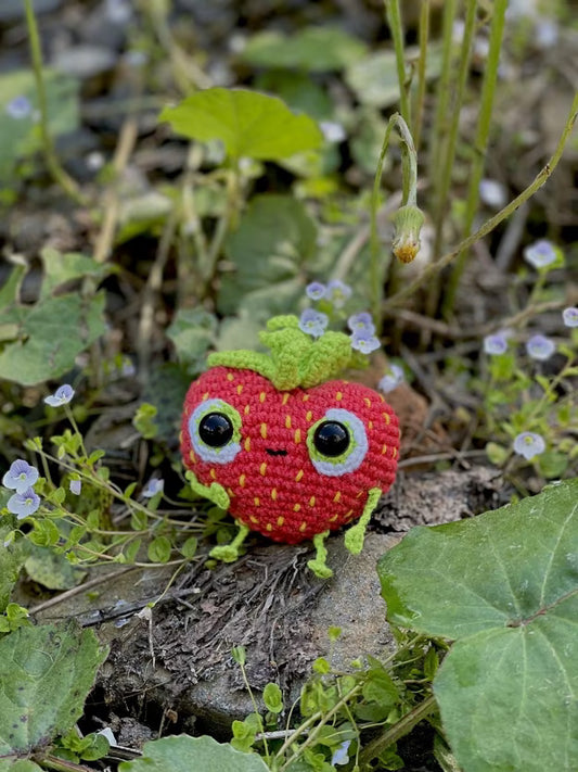 Barry the Strawberry Amigurumi Pattern